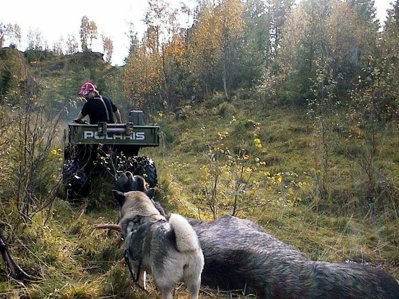 2004 Okse Vennadalen_8.jpg - 6-spiringen får skyss med 6-hjulingen